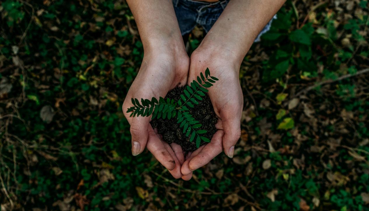 sustainable flooring